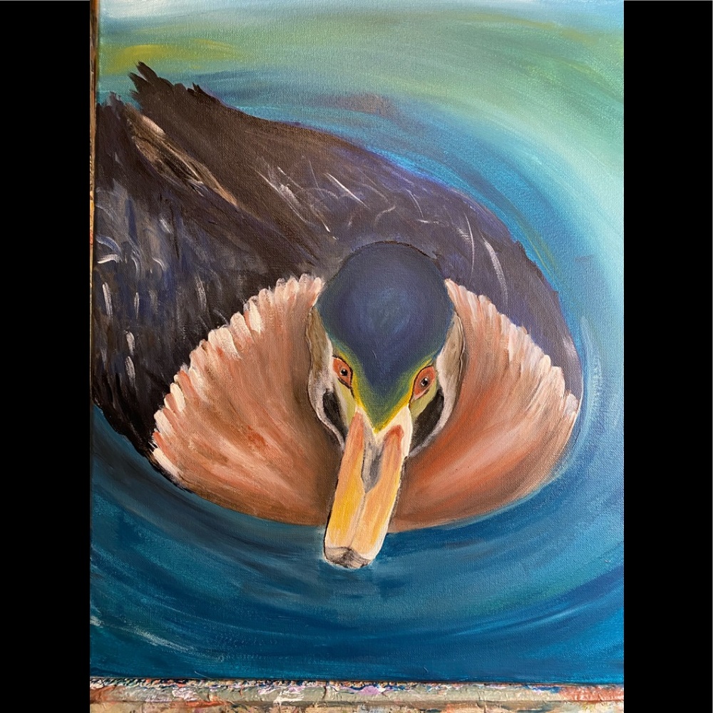 Wading Duck